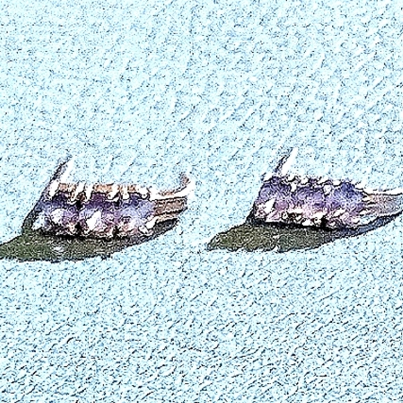 SOLD Tanzanite Stud Pierced Earrings - Picture 4 of 9